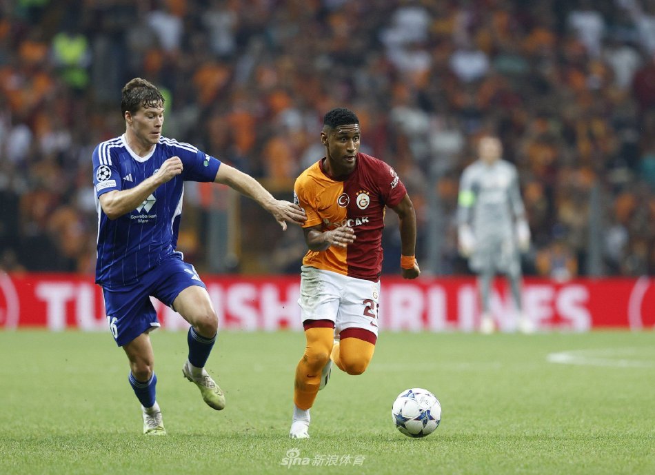 他们不仅带 他们不仅带